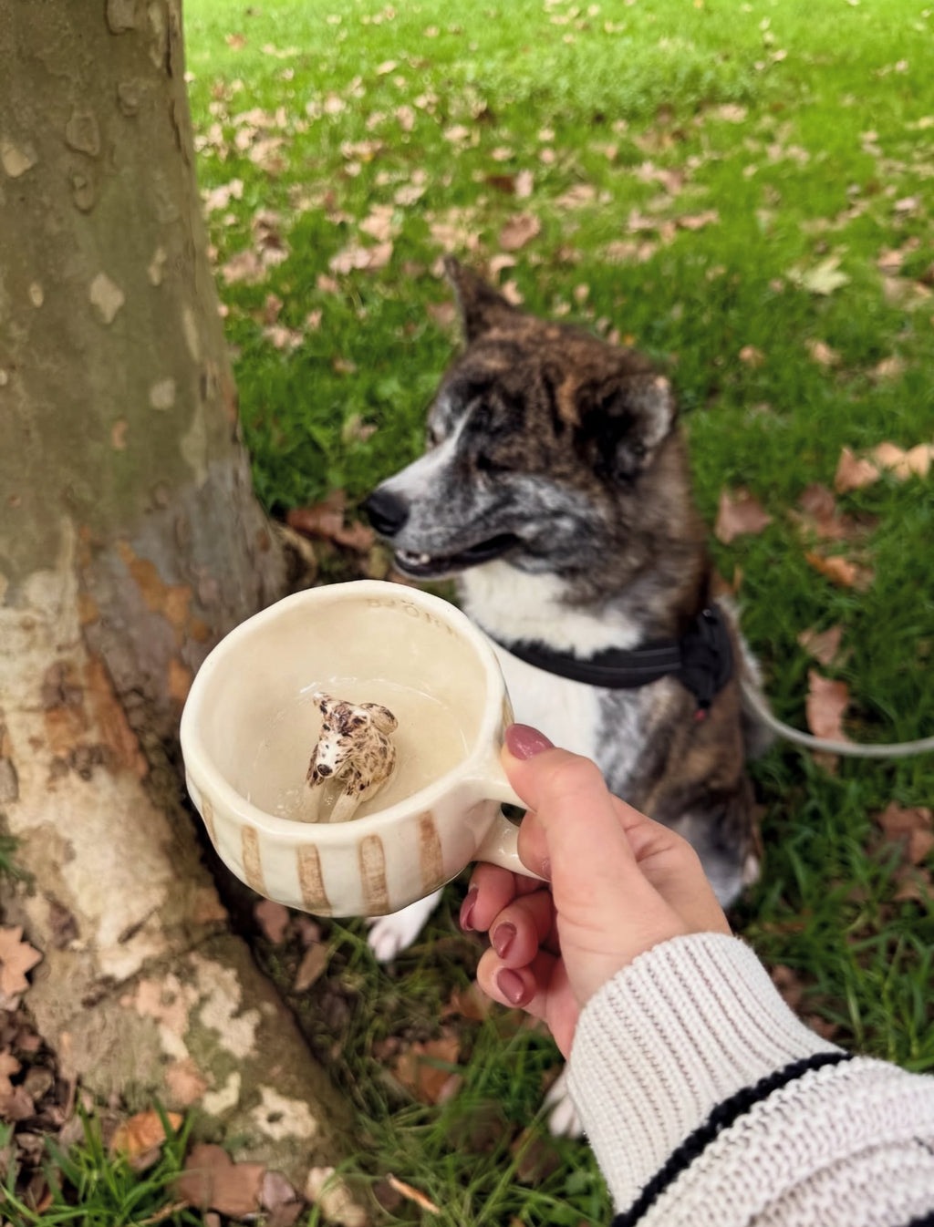 Custom Pet Mug